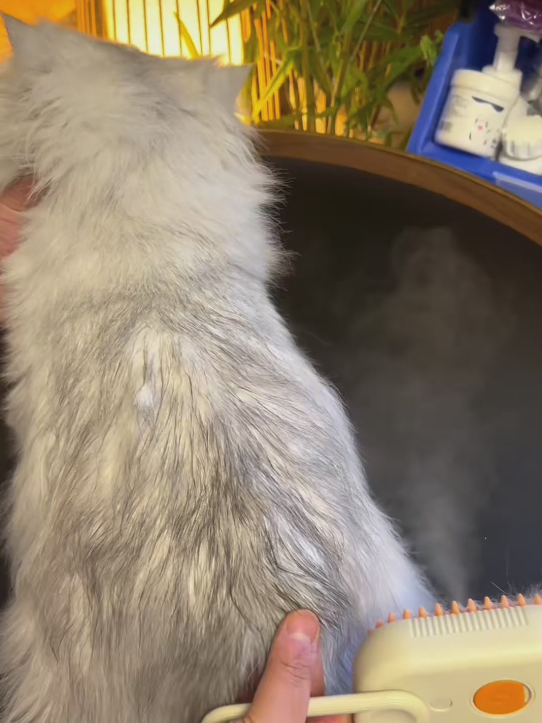 FurEase Steam Brush — steam in action